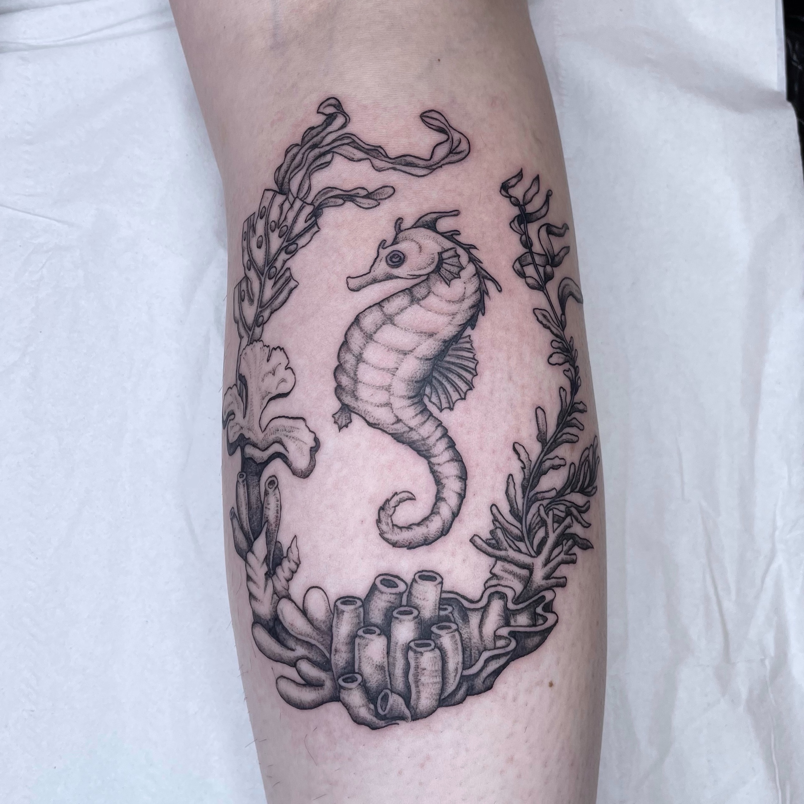 Seahorse Tattoo by Steve Johnson at Modern Moose Studio, New Port Richey,  FL : r/tattoos