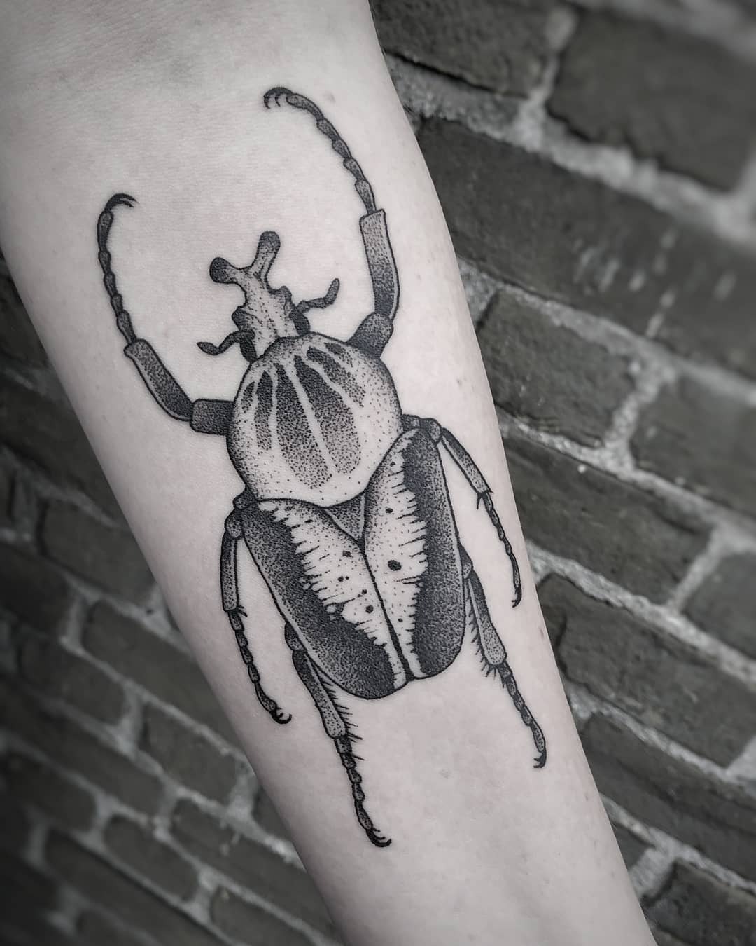 Stag beetle tattoo | Beetle tattoo, Insect tattoo, Traditional tattoo  drawings
